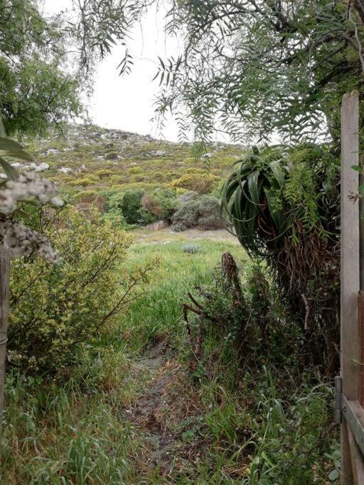 Serene Hide-Away With Ocean Views. Cape Town Eksteriør bilde