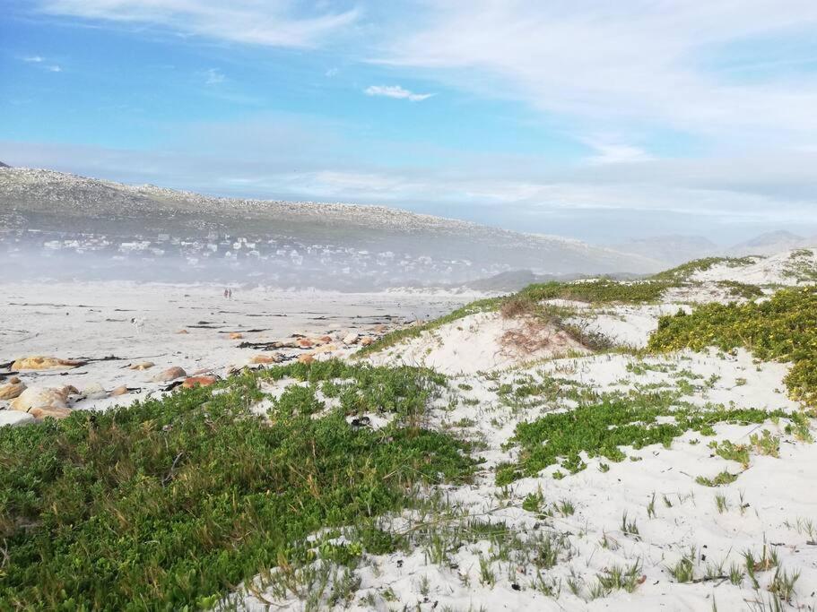 Serene Hide-Away With Ocean Views. Cape Town Eksteriør bilde