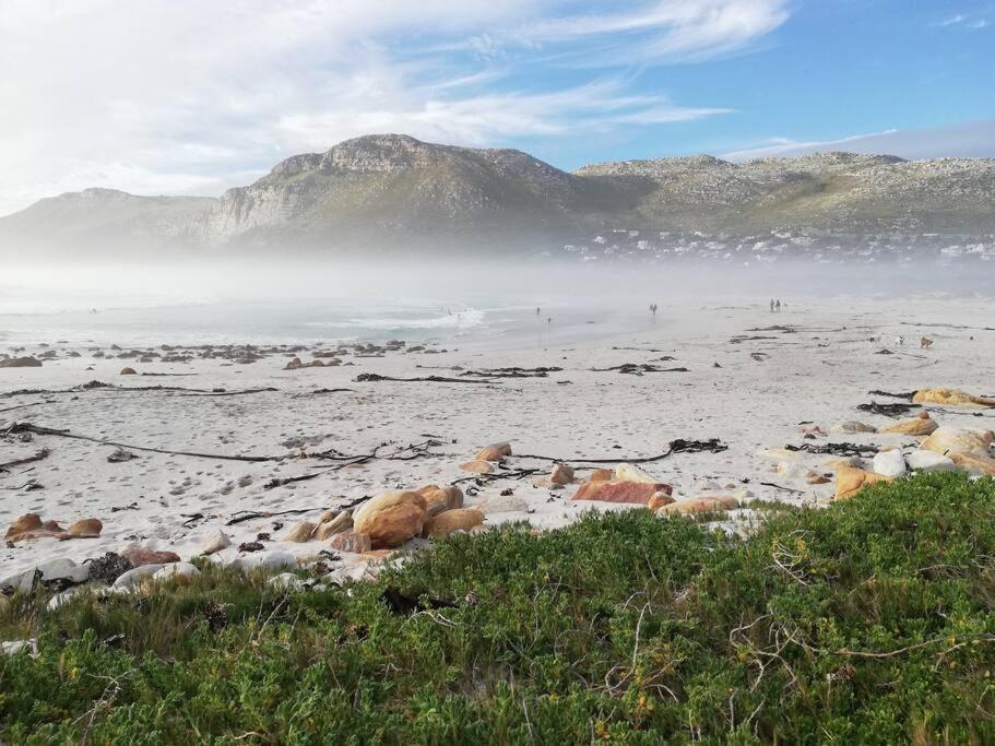 Serene Hide-Away With Ocean Views. Cape Town Eksteriør bilde