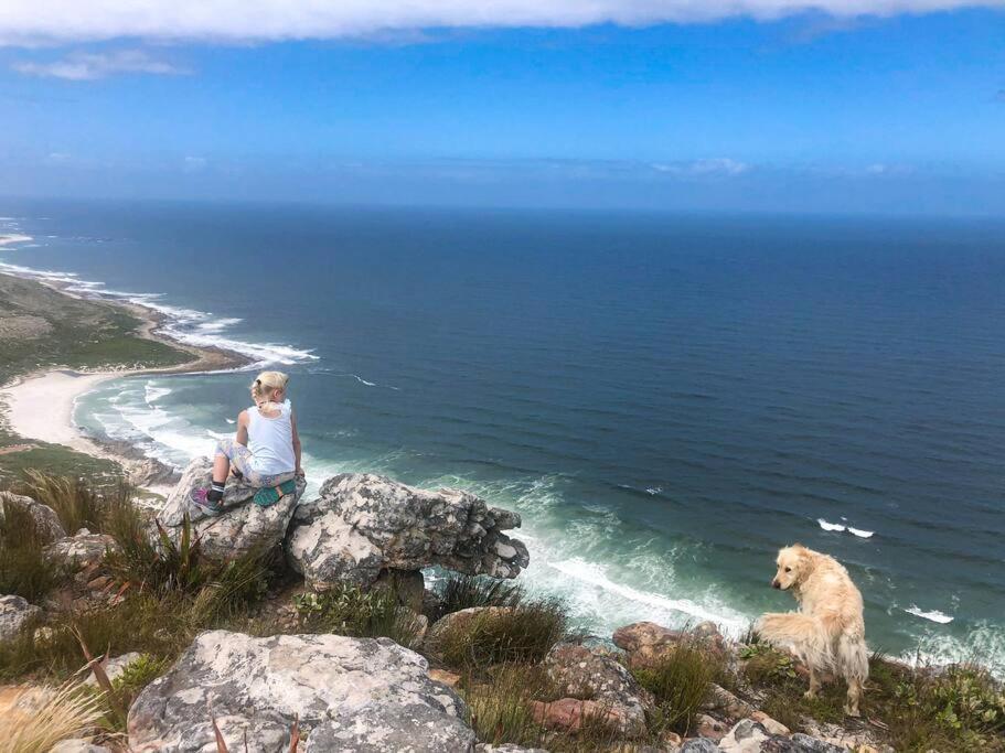Serene Hide-Away With Ocean Views. Cape Town Eksteriør bilde