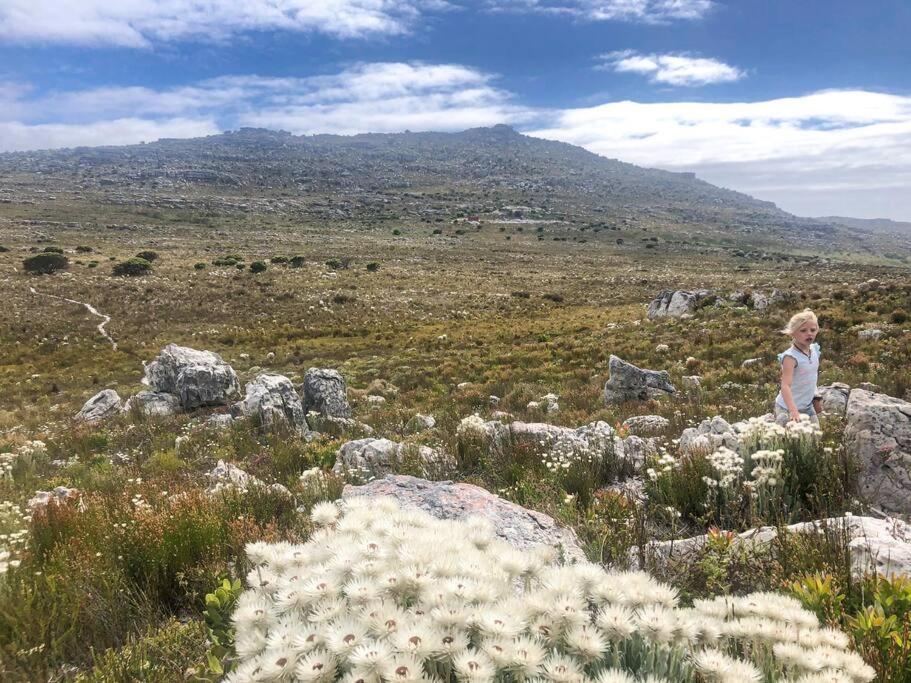Serene Hide-Away With Ocean Views. Cape Town Eksteriør bilde
