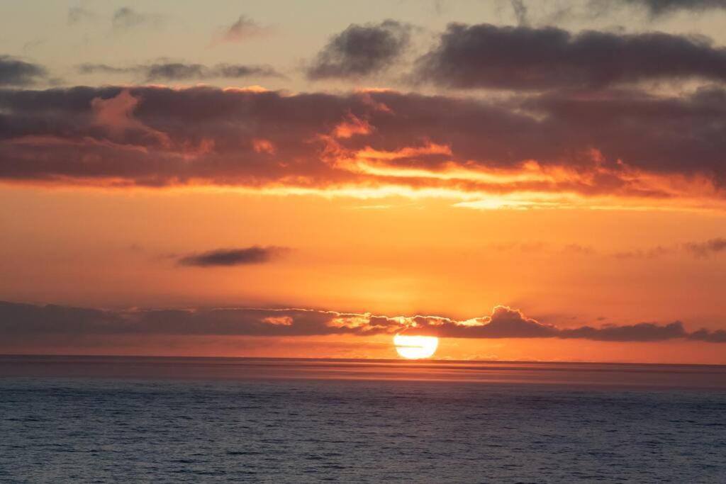 Serene Hide-Away With Ocean Views. Cape Town Eksteriør bilde