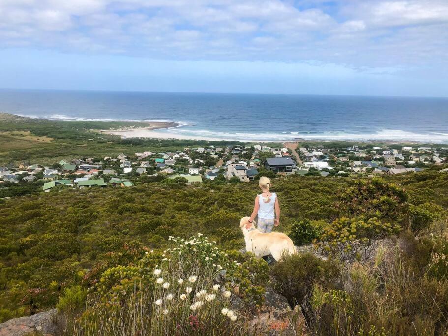 Serene Hide-Away With Ocean Views. Cape Town Eksteriør bilde